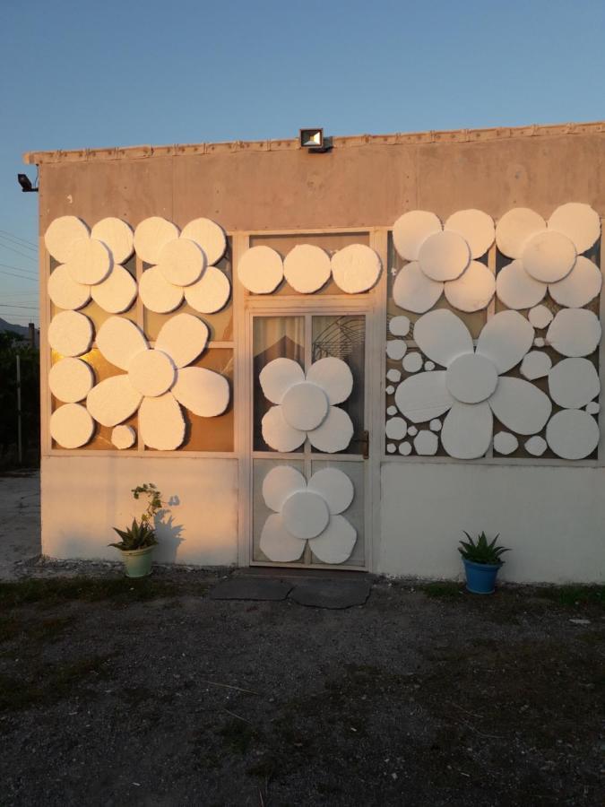 Anza Camping Shkoder Exterior photo
